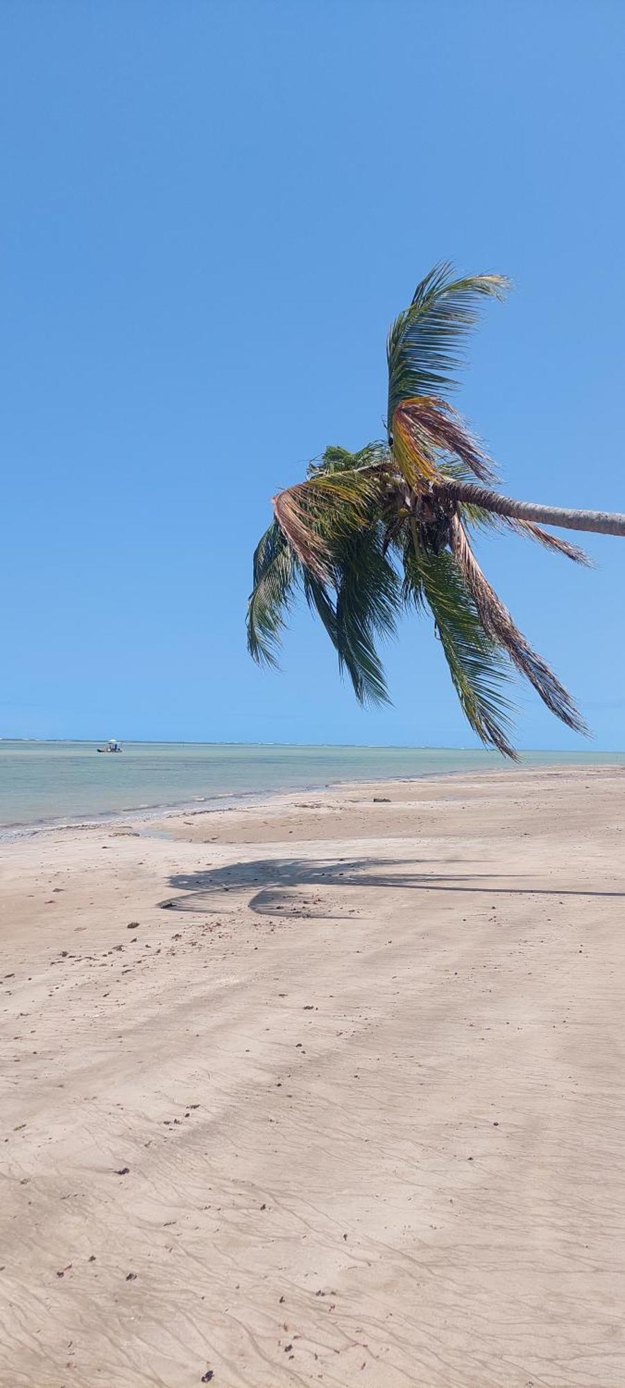 Arataba Hotel Boutique E Bistro - 150 Mts Do Mar Pôrto de Pedras Kültér fotó